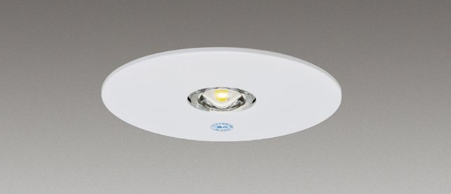 ＬＥＤ非常灯専用形電源別置φ１００