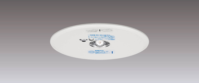 高天井用埋込ＬＥＤ非常灯専用形