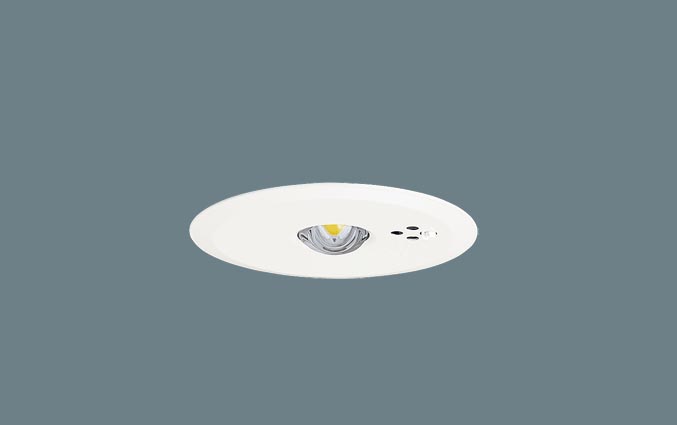 ＬＥＤ非常灯専用型低天Ф１００自己点