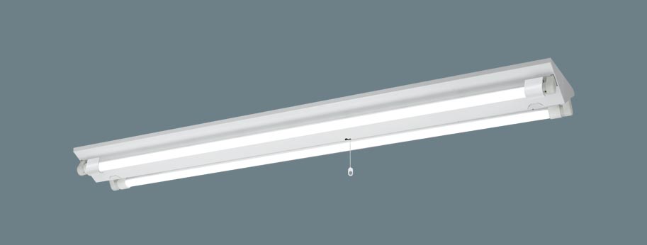 ＬＤＬ４０×２非常灯富士型２５００